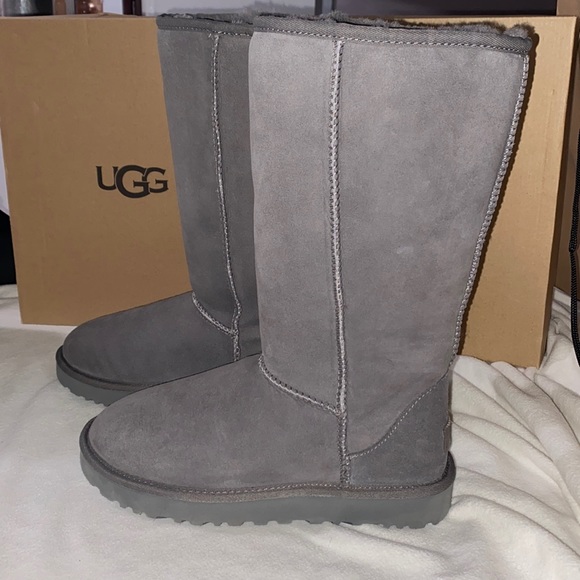 UGG Shoes - UGG Classic Tall